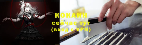spice Новозыбков