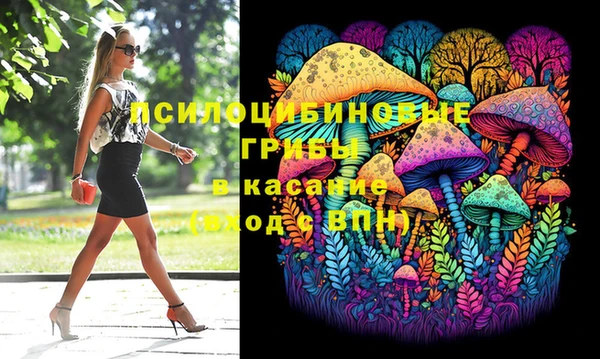 прущая мука Новодвинск