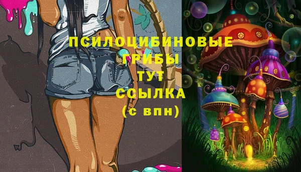 прущая мука Новодвинск
