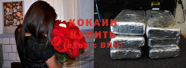 spice Новозыбков