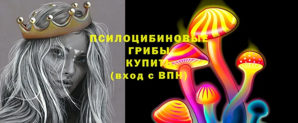 spice Новозыбков