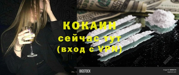 spice Новозыбков