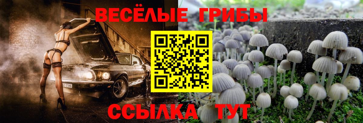 Куйбышев  Псилоцибиновые грибы Cubensis  Галлюциногенные грибы мухоморы  Вход с VPN 