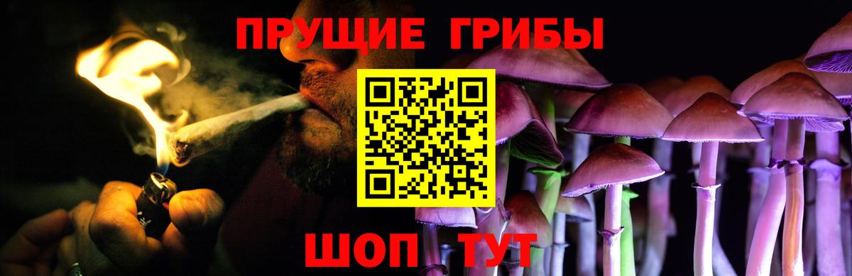 Галлюциногенные грибы ЛСД  Псилоцибиновые грибы Psilocybine cubensis  Куйбышев 