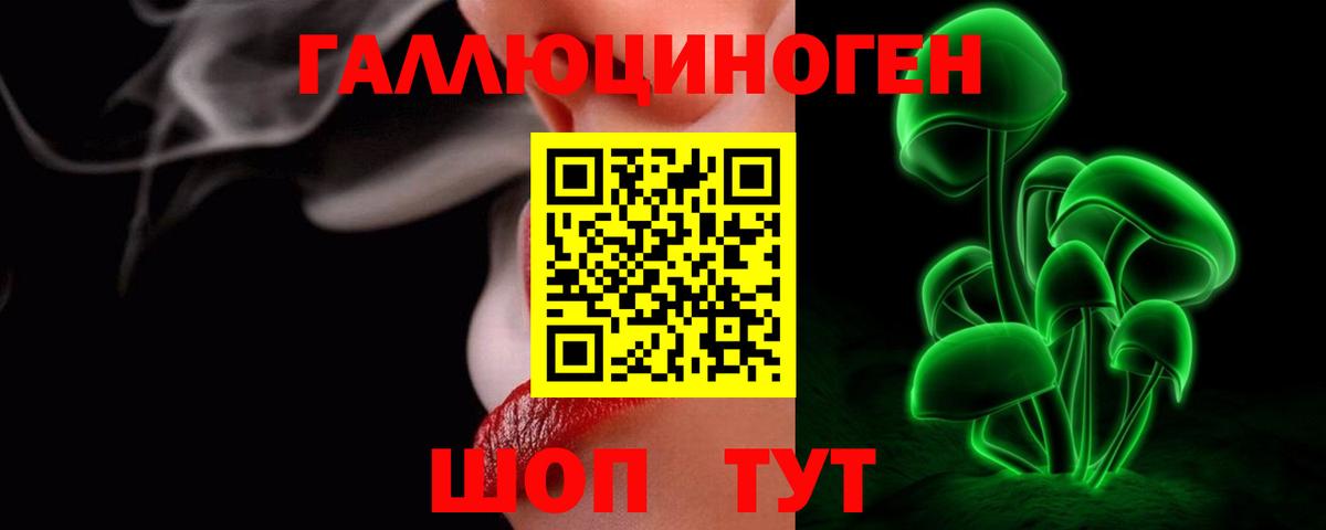 Псилоцибиновые грибы Psilocybe Куйбышев